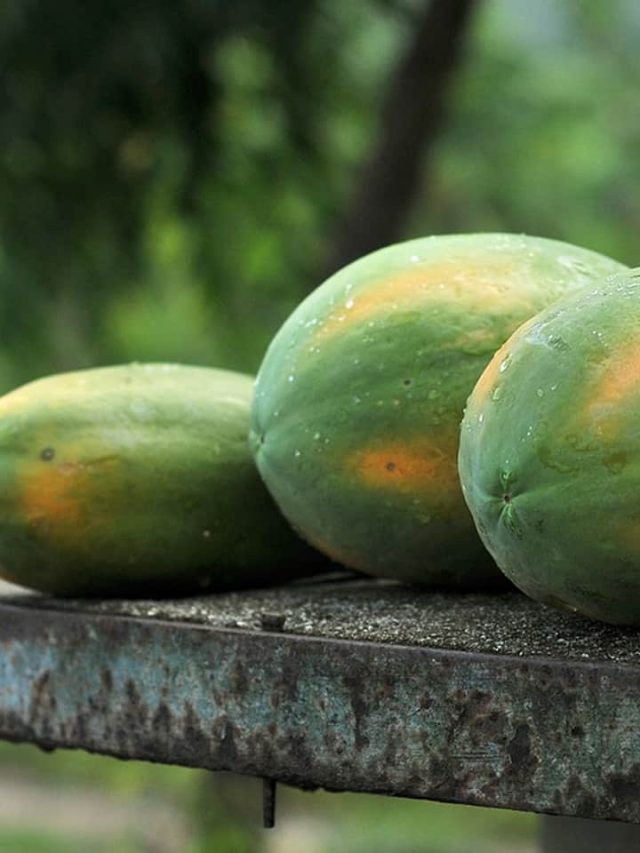 Health Benefits Of Green Papaya: 6 Reasons Why You Must Eat This Fruit