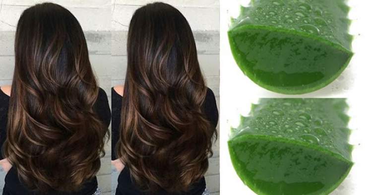 Here's how to moisturize your hair with aloe vera - everyone will want to know your secret