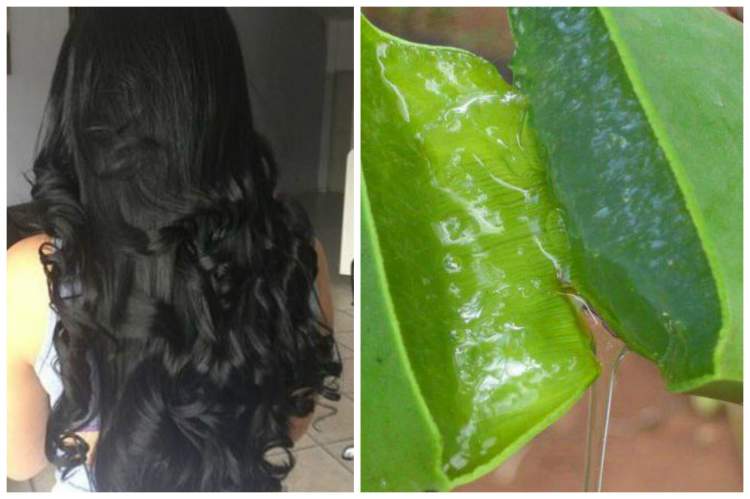 How to Moisturize Your Hair with Aloe Vera