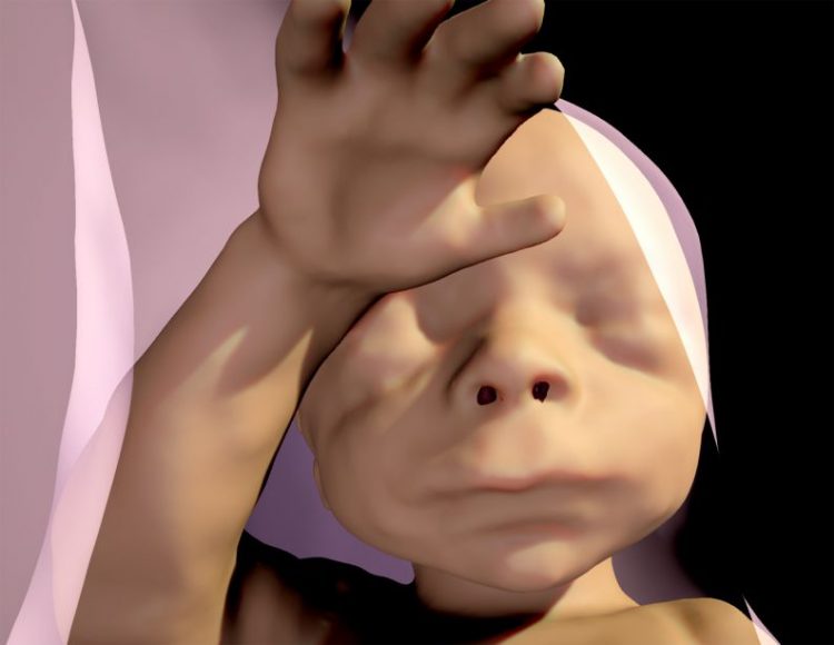 Super-realistic ultrasound allows mother to feel inside the womb and see the baby's features