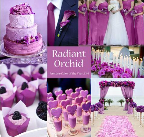 Radiant Orchid