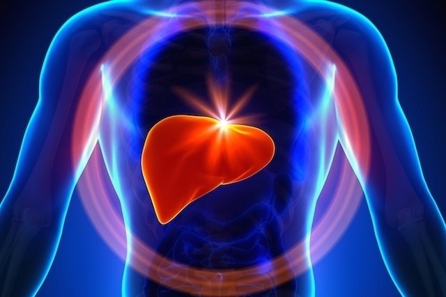 Types of hepatitis: symptoms, transmission and what to do