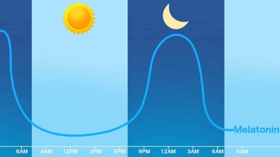 What is melatonin for - what it is, effects and benefits for the body