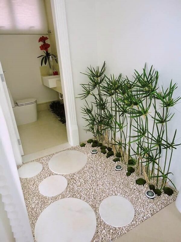 Bathroom entrance with plants.