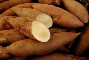 Yacon potato juice for diabetes