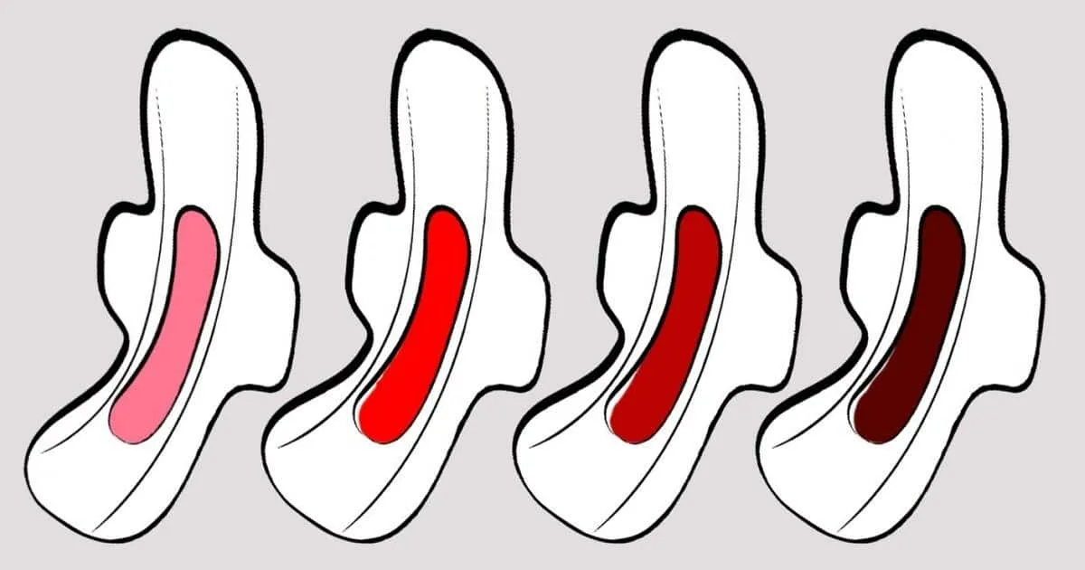 Fluxo menstrual — volume, intensidade, fases, cores e irregularidades