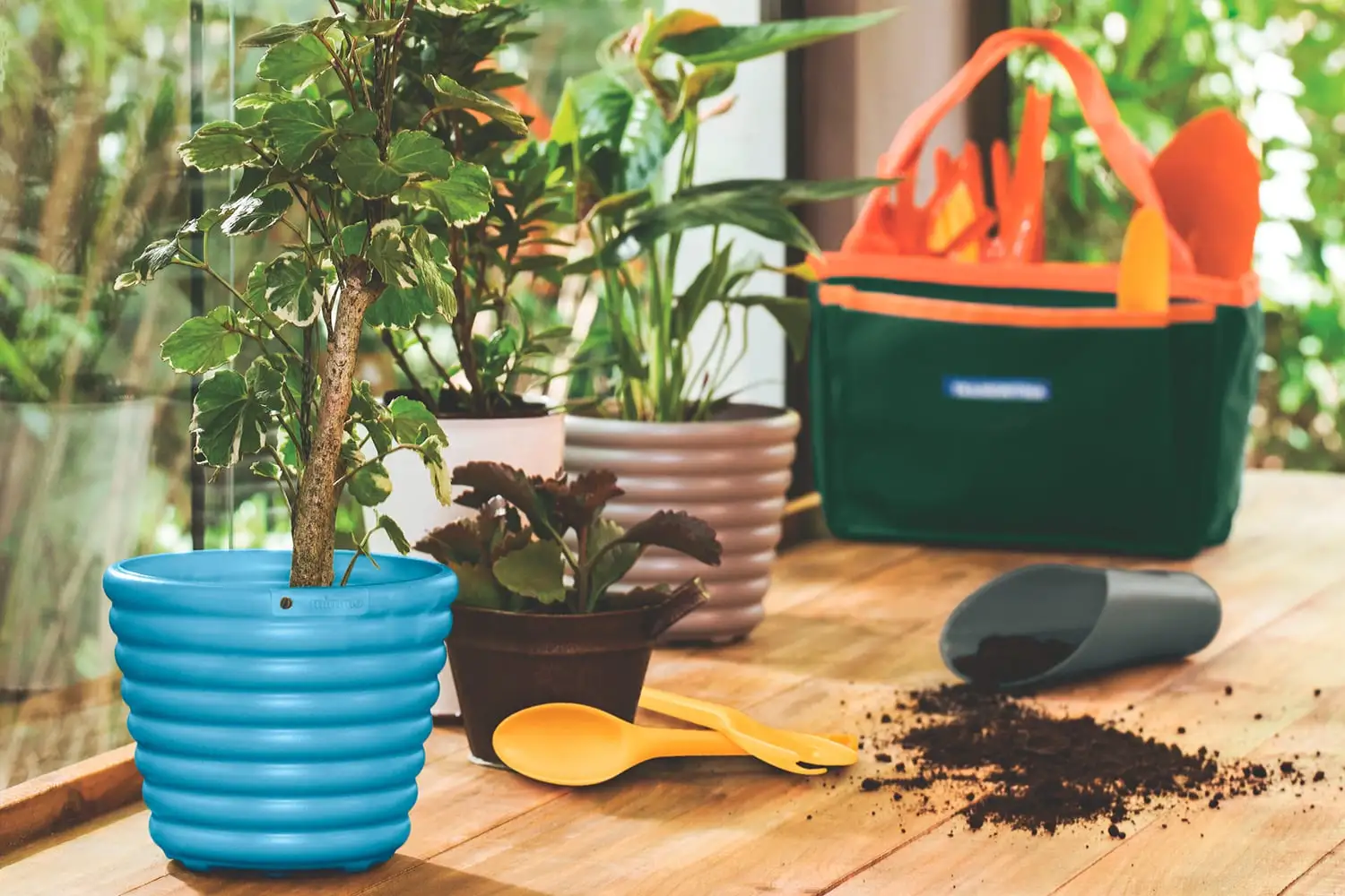 Horta em casa - Dicas de como plantar e cultivar hortaliças em casa