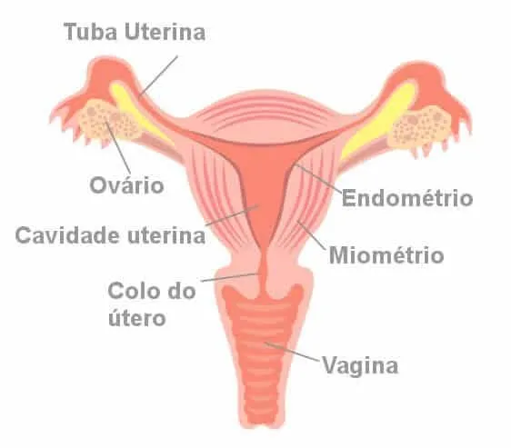 Stitches in the uterus, what are the causes?  What to do?