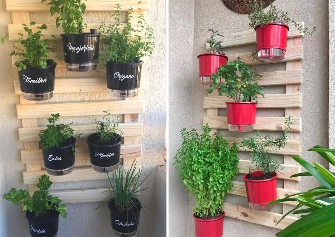 Wie man Garten zu Hause: eine Schritt-für-Schritt, was zu Pflanzen +inspiration