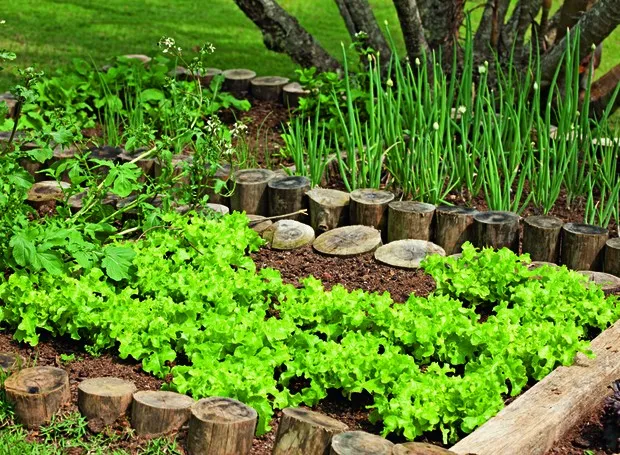 Wie man Garten zu Hause: eine Schritt-für-Schritt, was zu Pflanzen +inspiration