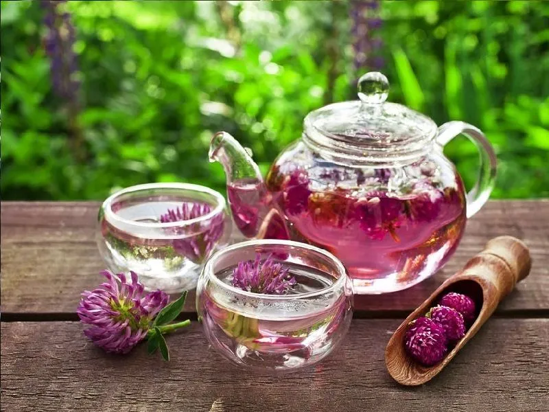 Teas for menopause: Red Clover