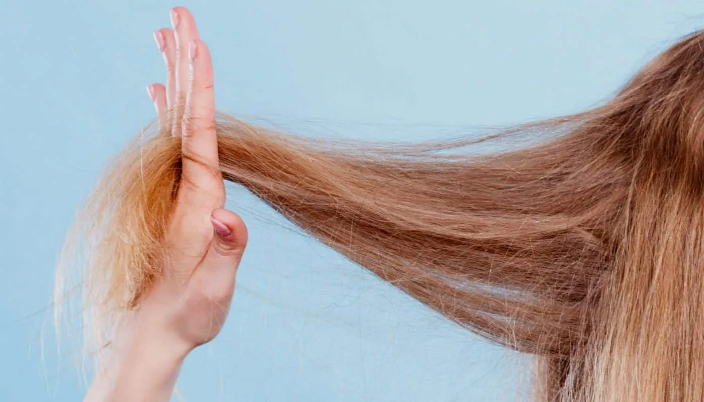 Split ends — 12 tips for taking care of your hair and recovering your ends