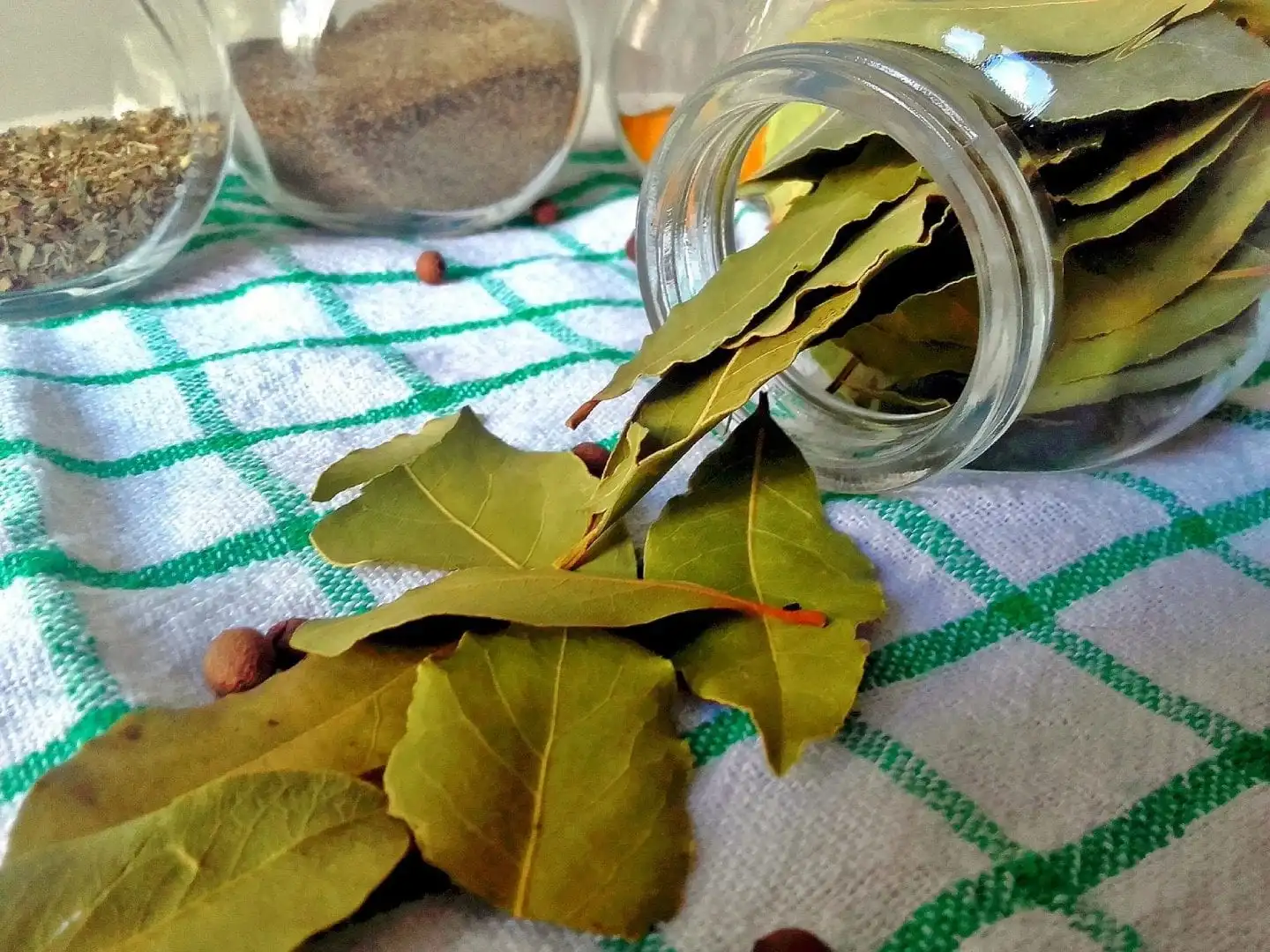 Bay leaves – What is it, benefits and contraindications