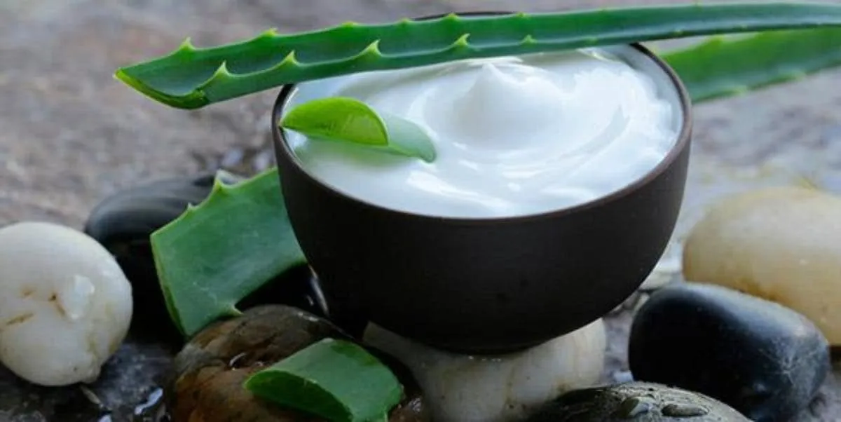 Aloe vera in hair - what it is for, benefits and how to do it