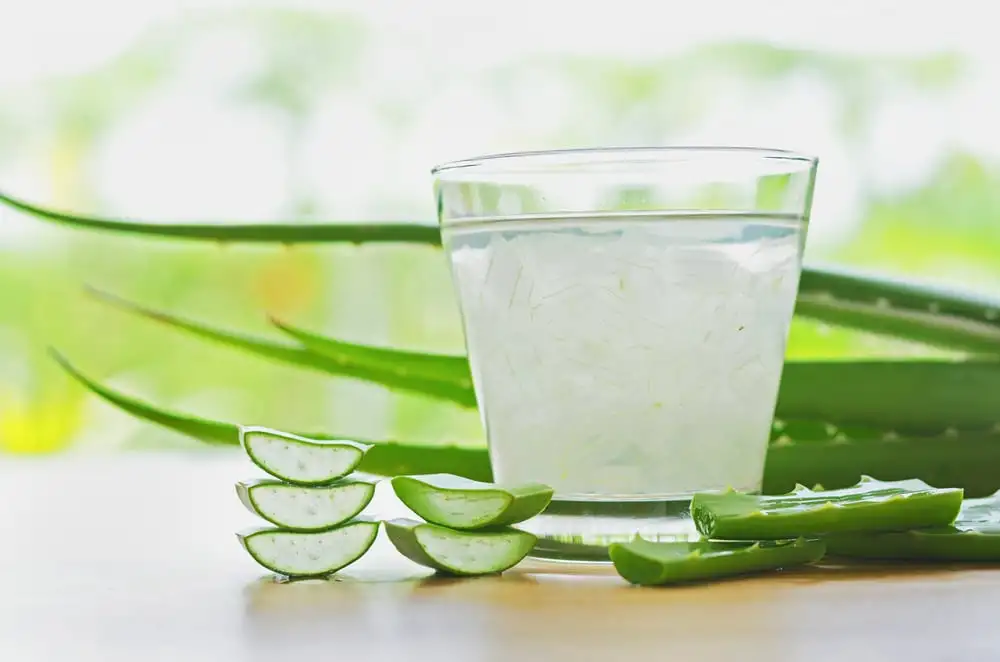 Aloe vera in hair - what it is for, benefits and how to do it