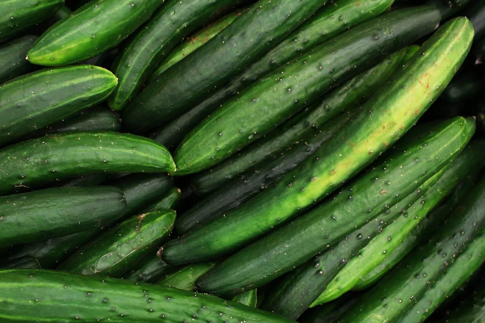 Benefits of cucumber for the skin: 5 homemade beauty recipes