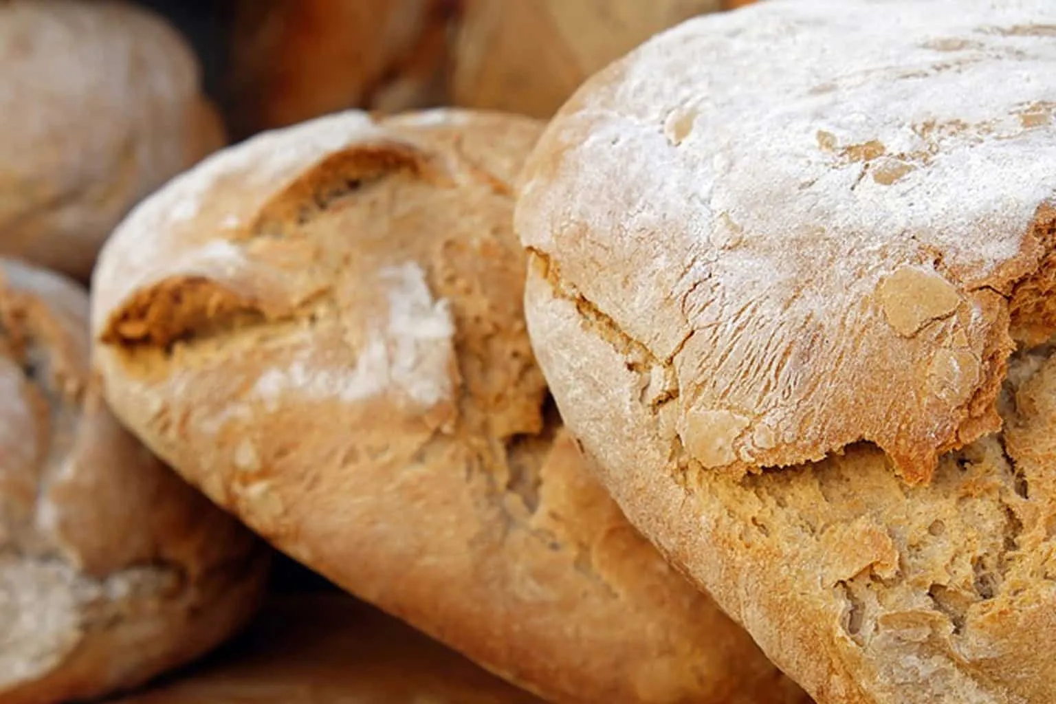 Types of bread - from the best known to the least consumed in the world