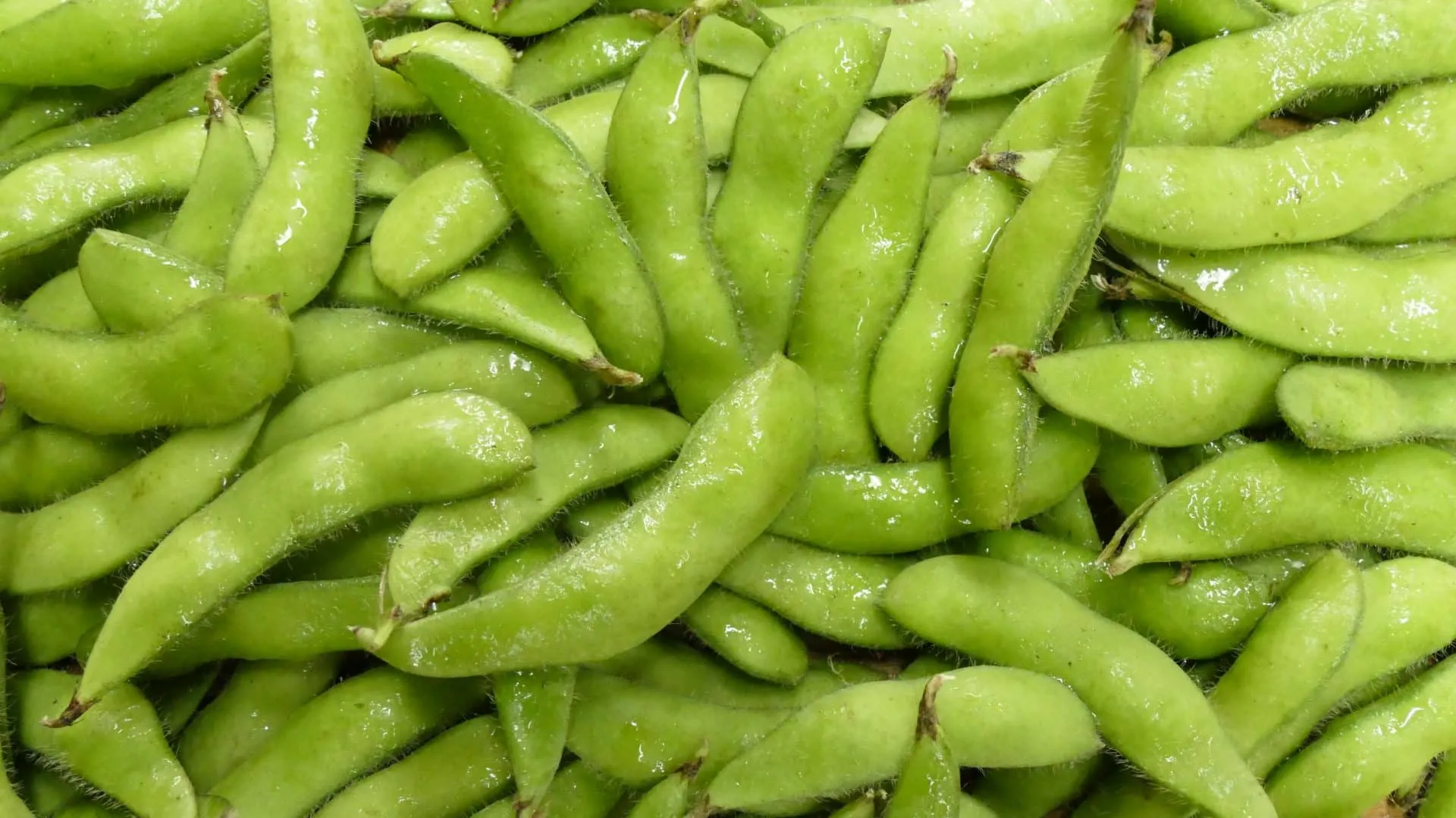 Edamame - What is it, benefits, how to consume and prepare