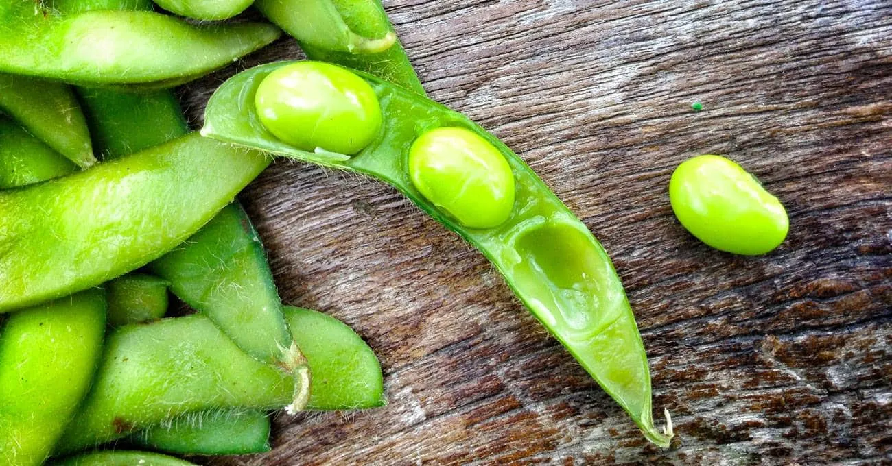 Edamame - What is it, benefits, how to consume and prepare