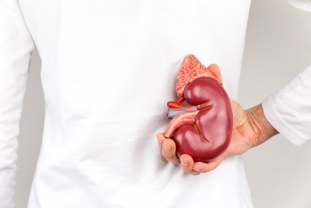 11 symptoms of kidney problems (with online test)