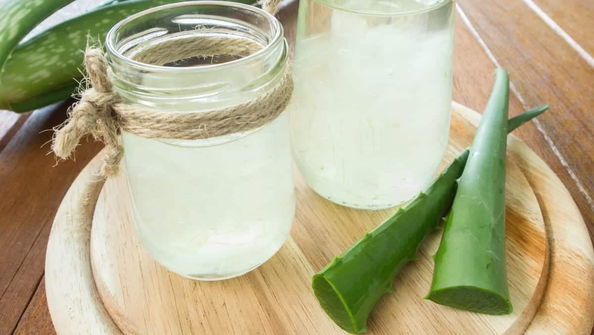 Aloe vera - Benefícios, utilizações e formas de usar