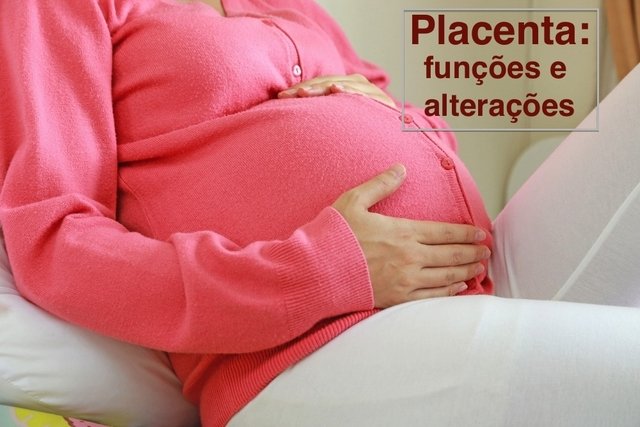 Placenta: what it is, functions and possible changes