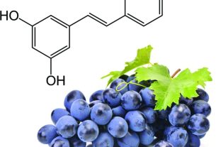 Resveratrol - benefícios para a pele e como consumir