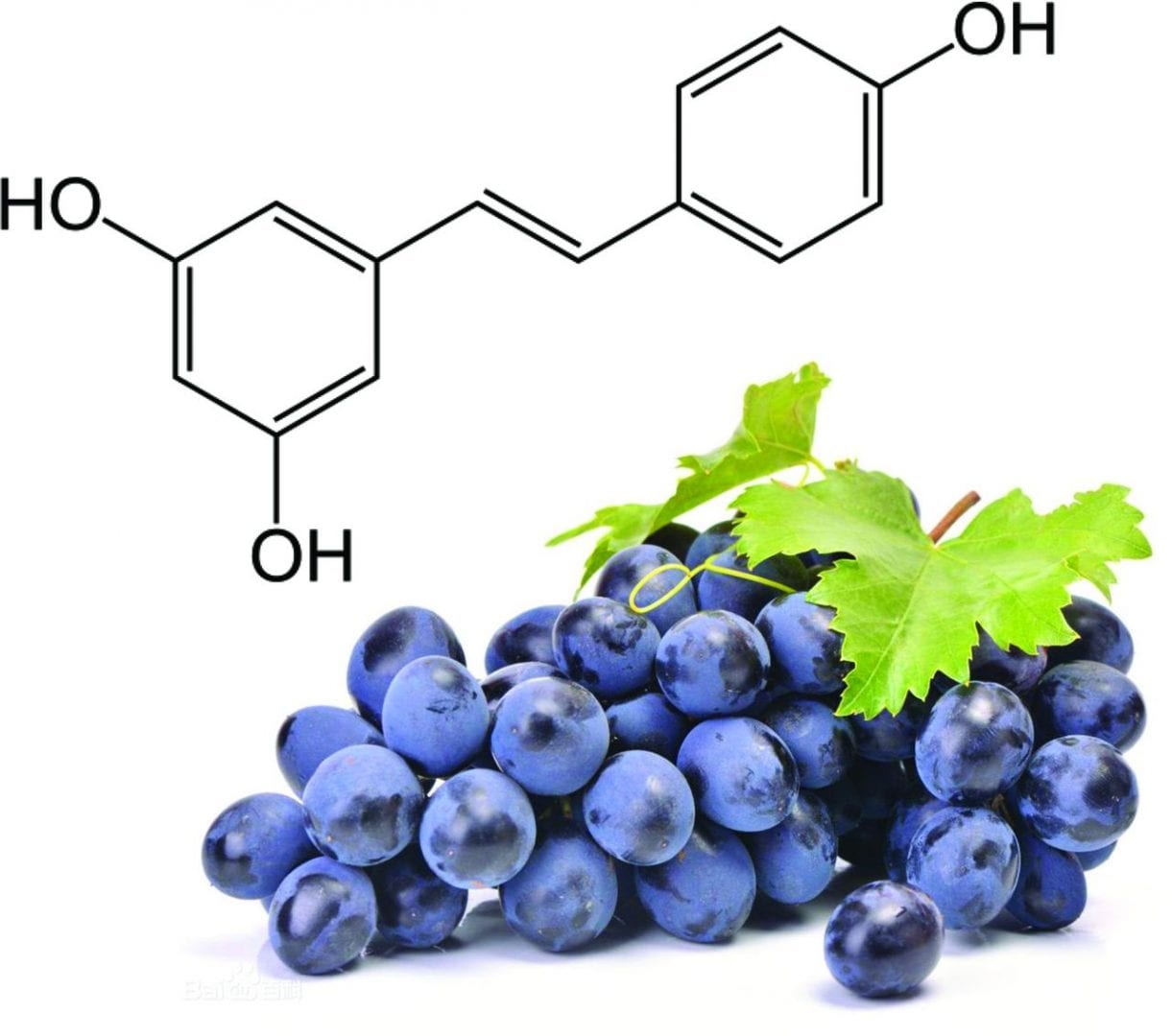 Resveratrol - benefícios para a pele e como consumir