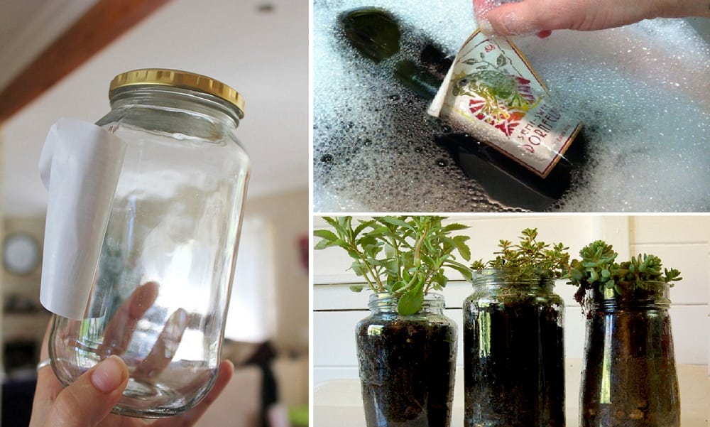 How to remove labels from glass jars and bottles without leaving glue residue