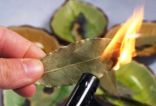 This is why you should burn bay leaves in your home