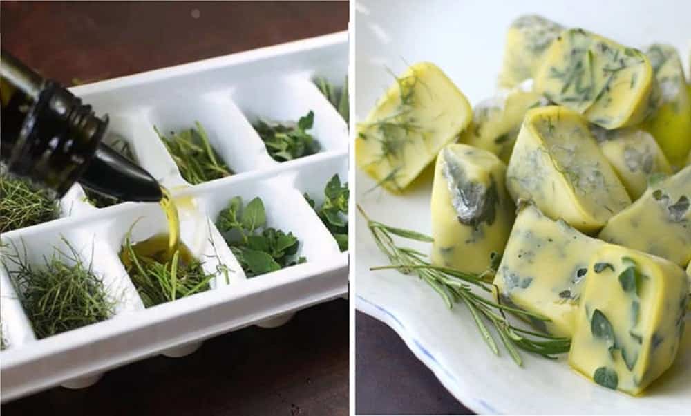 5 alternative ways to use an ice cube tray in your everyday life