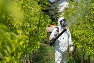 Pesticides: what they are, risks and how to avoid them