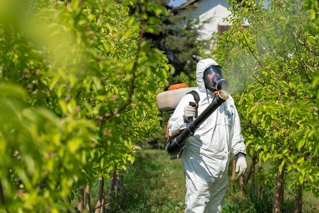 Pesticides: what they are, risks and how to avoid them