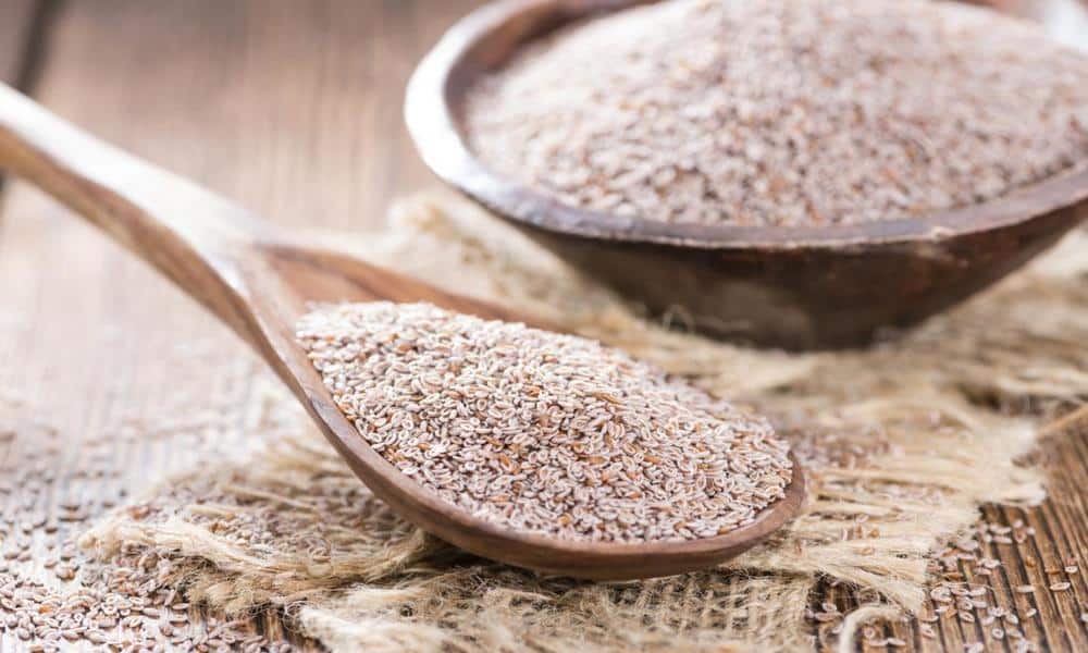 O que é Psyllium? x benefícios que ele trás para sua saúde