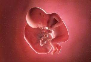 Baby development – ​​27 weeks gestation