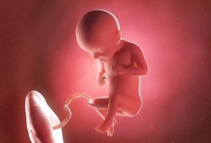 Baby development – ​​29 weeks gestation