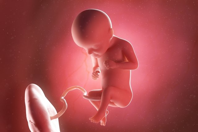 Baby development – ​​29 weeks gestation