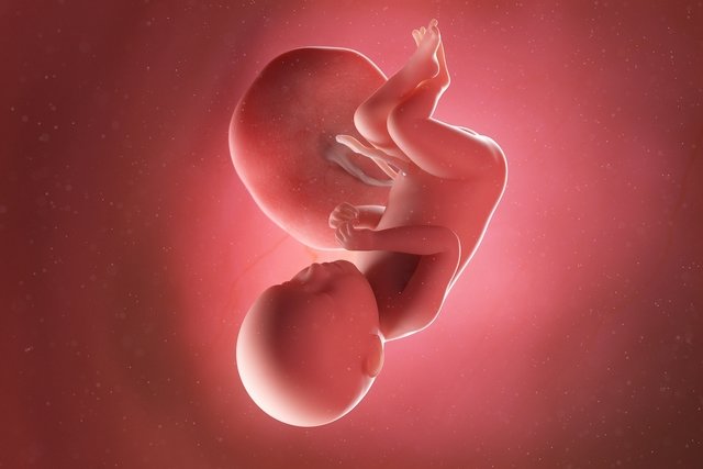 Baby development – ​​39 weeks gestation