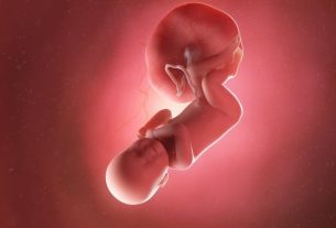 Baby development – ​​40 weeks of gestation