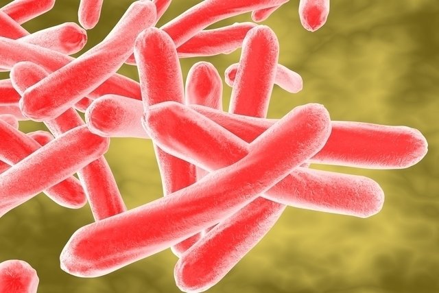 Is tuberculosis curable?  (and how to achieve healing)