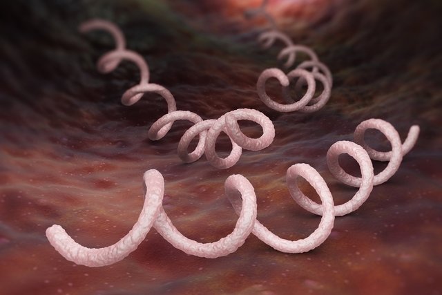 Tertiary syphilis: what it is, symptoms, diagnosis and treatment