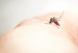 Zika: what it is, symptoms, transmission and treatment