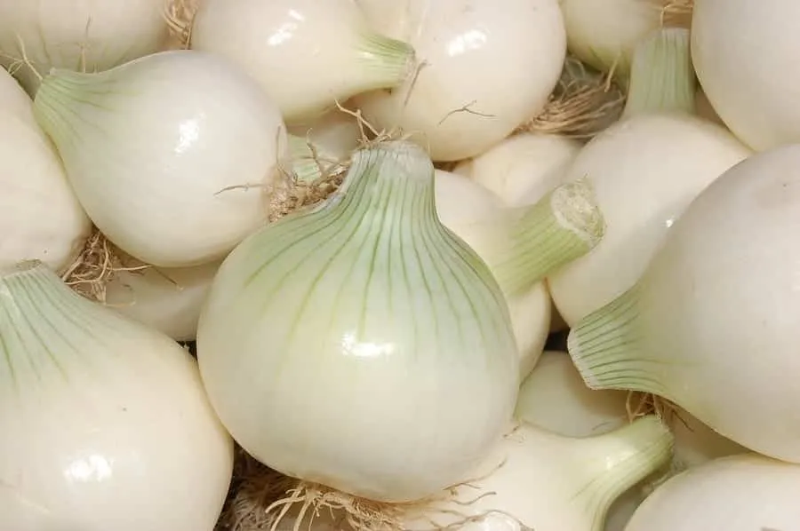 Learn which types of onion are ideal for each dish