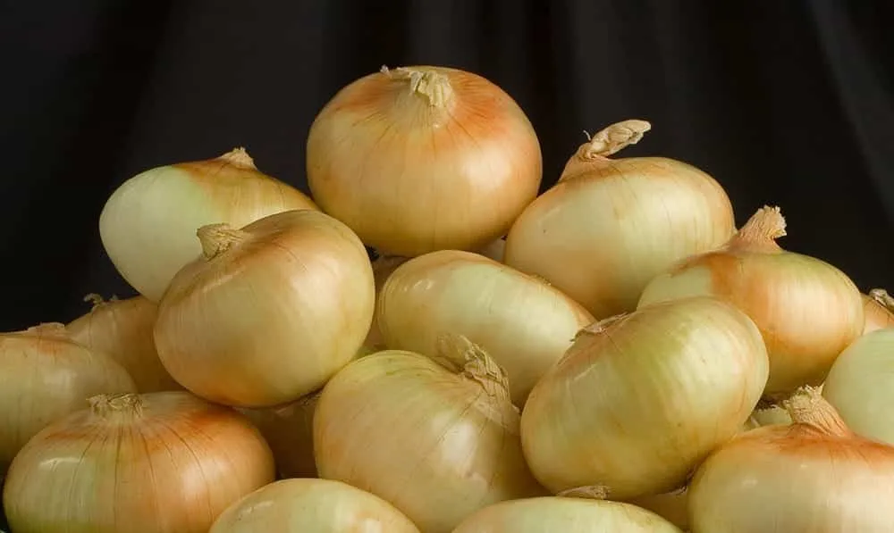 Learn which types of onion are ideal for each dish