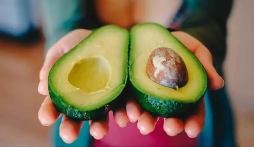 Recipes with avocado, see easy and quick examples to make