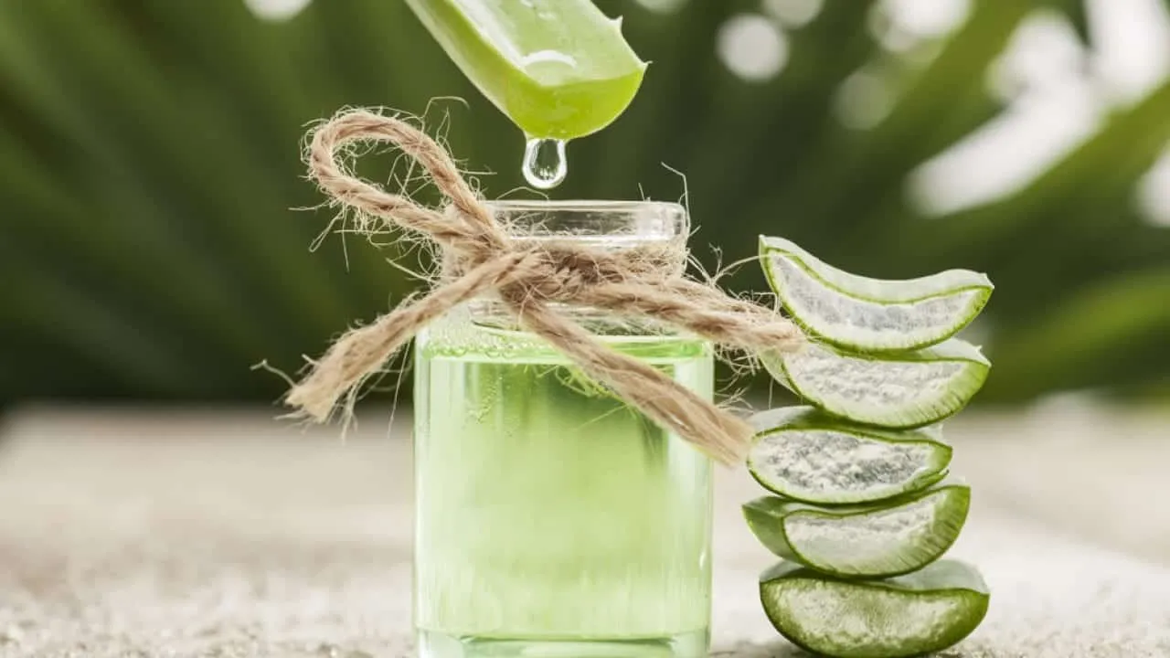 Aloe vera - Benefits, uses and ways to use