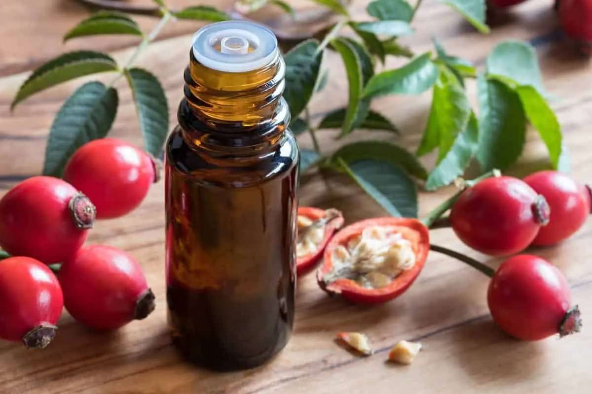 Rosehip oil - what it is, benefits, how to use and recipes