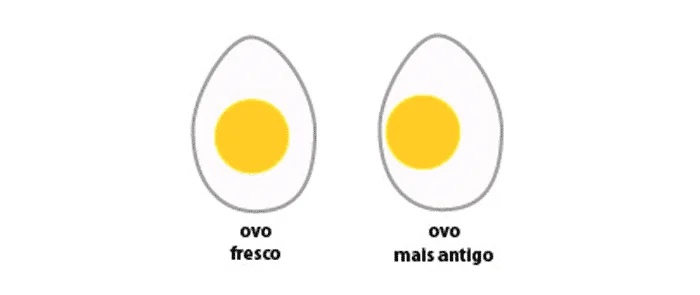 How to know if the egg is hatched before breaking it