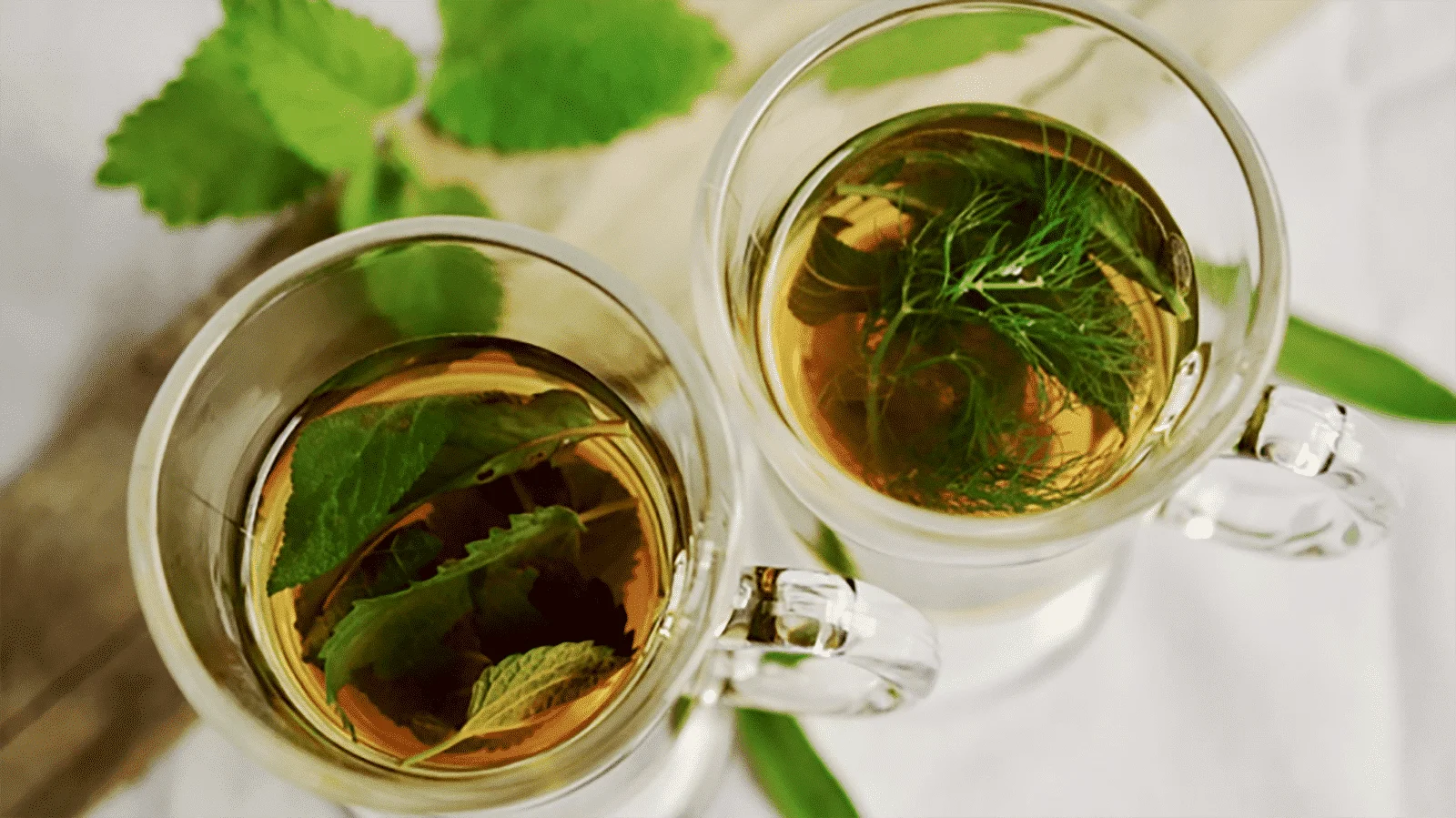 Boldo tea – benefits, properties, contraindications and how to make it