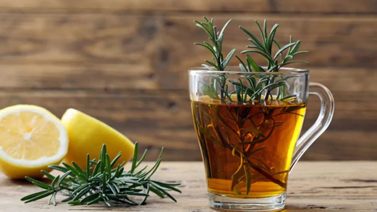 Rosemary tea - what it is for, main benefits and contraindications